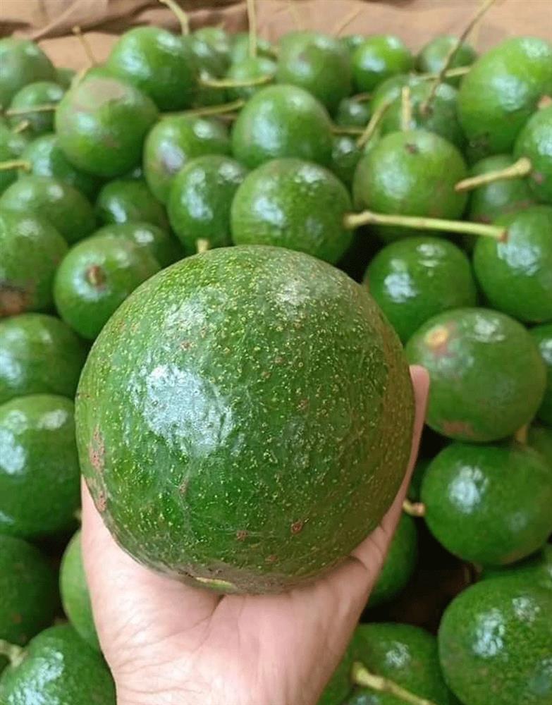 Siêu thực phẩm bán tràn chợ, có nơi chỉ 9.000 đồng/kg-2