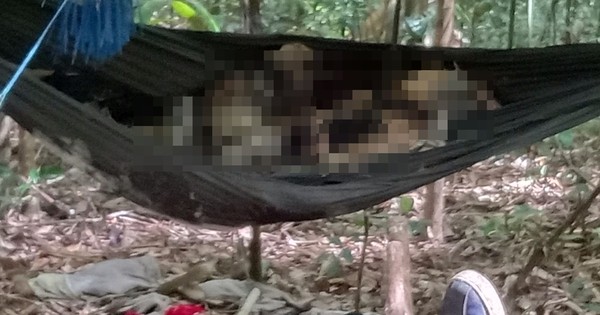 Xác định được lai lịch 2 bộ xương khô được phát hiện trong rừng-1