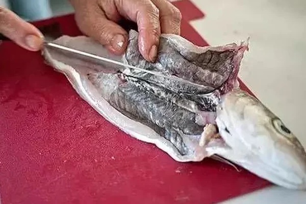 Những loại cá không nên ăn vì chứa nhiều thủy ngân, dễ nhiễm độc-1