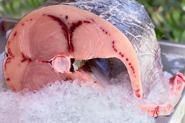 Những loại cá không nên ăn vì chứa nhiều thủy ngân, dễ nhiễm độc-2