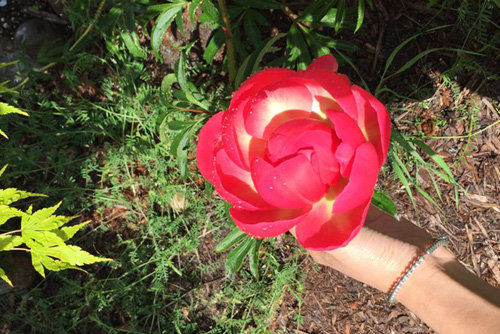 Căn nhà của ca sĩ Lam Trường bên Mỹ ra sao?-20