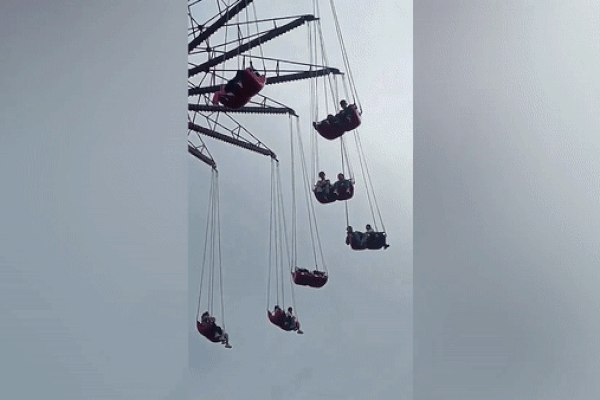 Voi bất ngờ chặn đầu ôtô của du khách-1