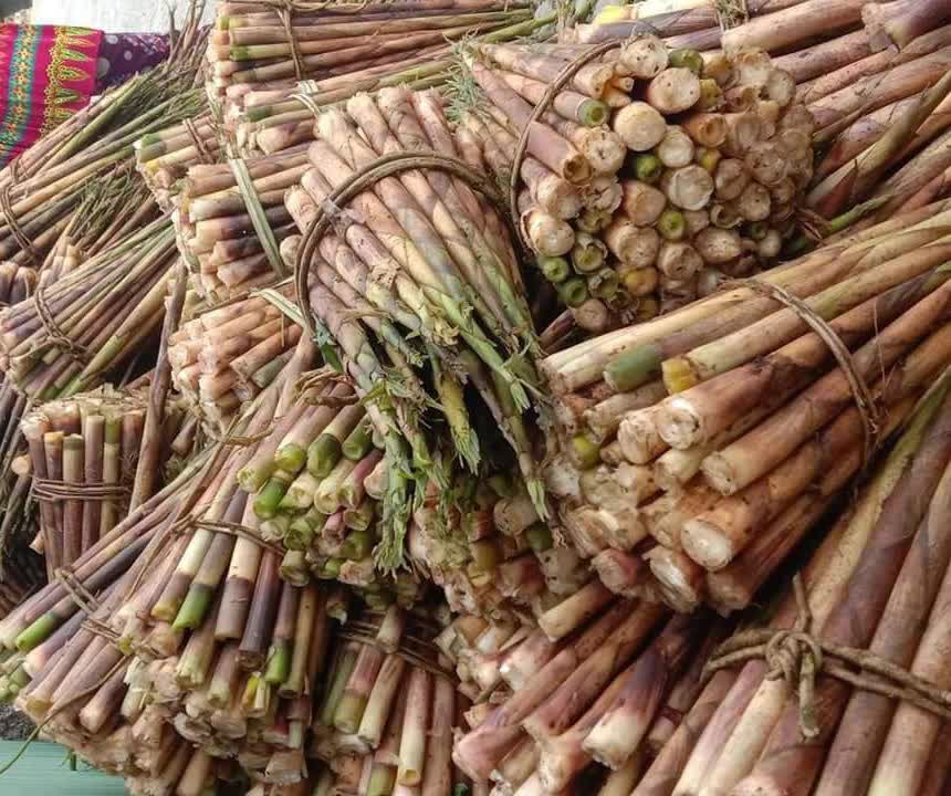 Măng trúc Hà Giang giá đầu mùa đắt đỏ nhưng khách vẫn đặt cả chục kg về ăn-4