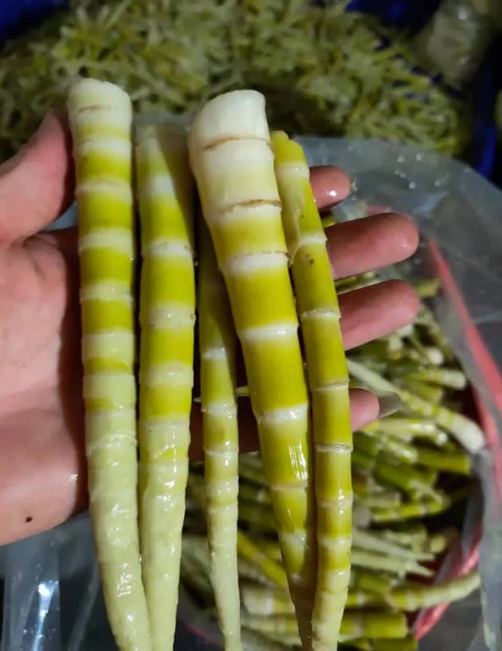 Măng trúc Hà Giang giá đầu mùa đắt đỏ nhưng khách vẫn đặt cả chục kg về ăn-5