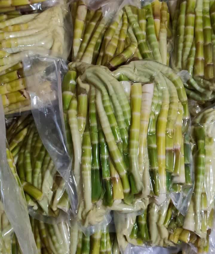 Măng trúc Hà Giang giá đầu mùa đắt đỏ nhưng khách vẫn đặt cả chục kg về ăn-6