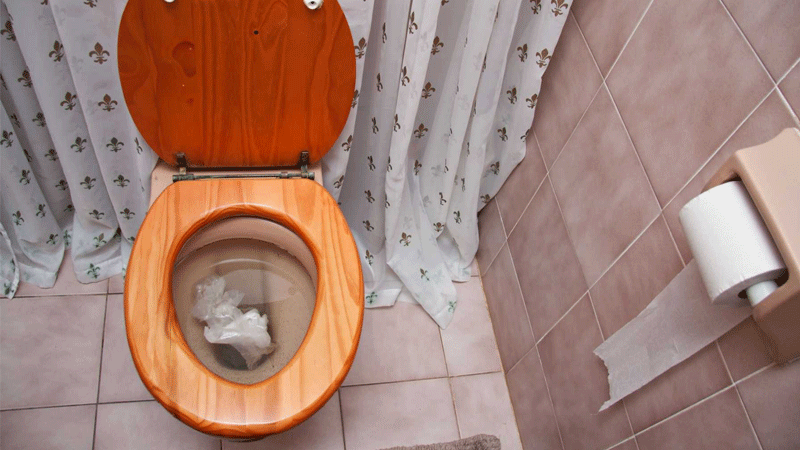 Nên vứt giấy vệ sinh vào bồn cầu hay thùng rác? Không phải ai cũng biết câu trả lời chính xác-2