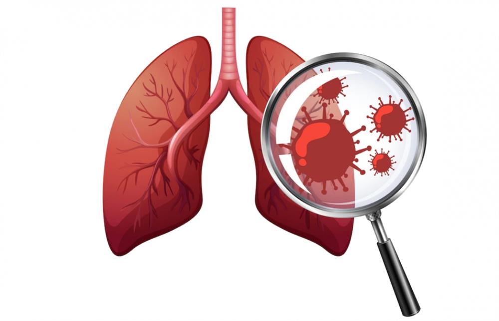 Người sống thọ khỏe mạnh có 3 bộ phận rất sạch”, giá như biết sớm hơn-2