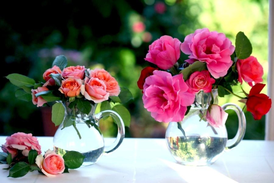 Tử vi ngày 12/10/2022: Tuổi Sửu cẩn thận vạ miệng, tuổi Hợi đón nhận tin vui-1