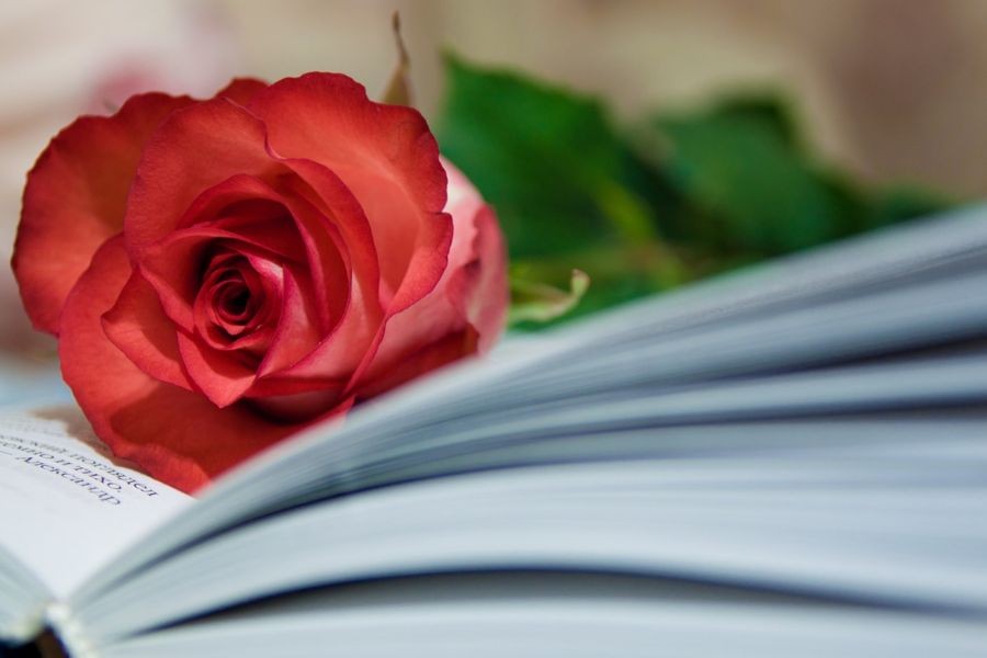 Tử vi ngày 12/10/2022: Tuổi Sửu cẩn thận vạ miệng, tuổi Hợi đón nhận tin vui-2