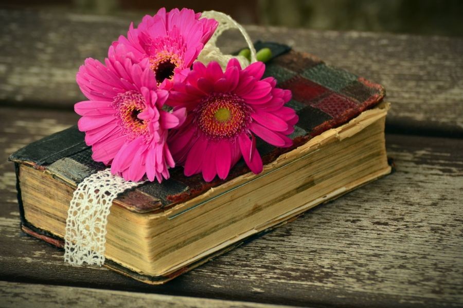 Tử vi ngày 12/10/2022: Tuổi Sửu cẩn thận vạ miệng, tuổi Hợi đón nhận tin vui-3