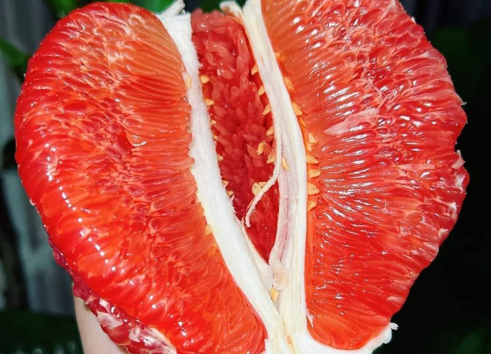 Bưởi Trung Quốc đỏ au la liệt chợ, đắt hơn cả bưởi Việt-2