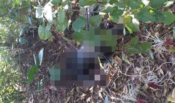 Cái chết oan khuất của gái làng chơi vì tâm sự với trai lạ-2