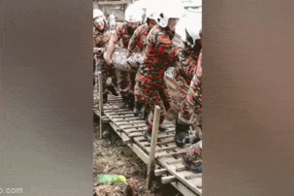 Lính cứu hỏa vật lộn bắt trăn khổng lồ đột nhập trang trại-1