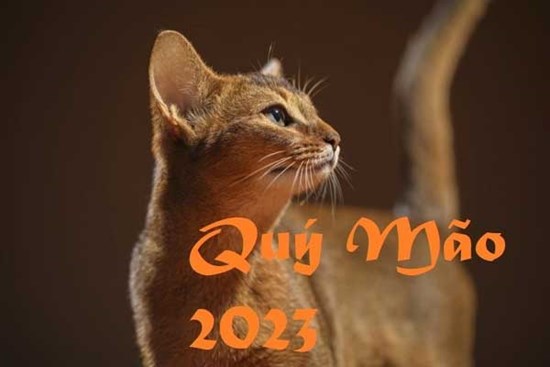 Năm 2023 là năm con gì, mệnh gì và có nhuận không?