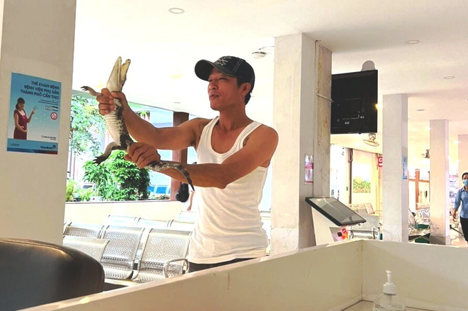 Người đàn ông cầm con cá sấu đi dọc hành lang bệnh viện-1