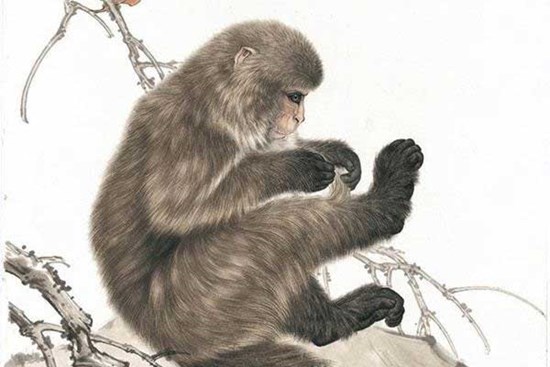 3 tháng cuối năm 2022: Có 4 con giáp vượng quý nhân, tháng 11 vận đỏ kéo đến, tháng 12 đón Tết linh đình