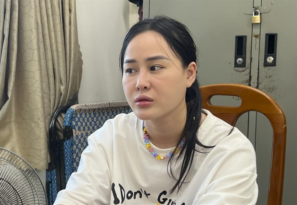 Khởi tố, bắt tạm giam hotgirl Tina Dương-2