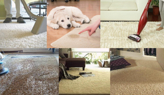 Đổ thứ nước này vào cốc, mùi hôi biến mất nhanh chóng lại còn rất an toàn-7