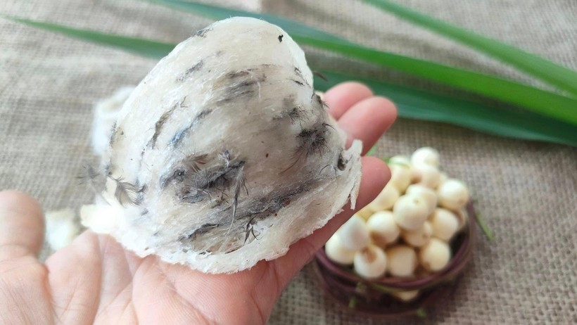 Cách chưng chè tổ yến hạt sen với gừng bổ dưỡng cho ngày se lạnh-1