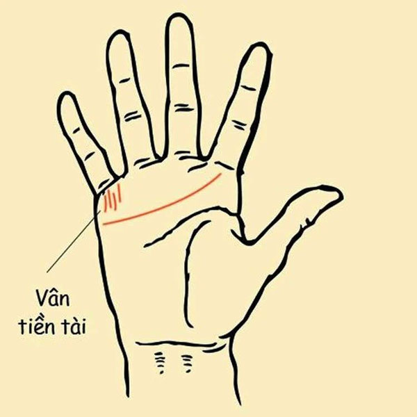 Lòng bàn tay có 5 dấu hiệu này, chủ nhân lắm tài nhiều lộc, cả đời phú quý-1
