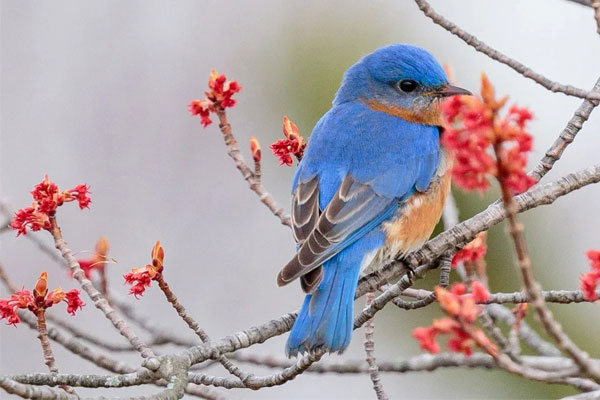 Ngày sinh Âm lịch kết thúc bằng số này, tài lộc hưng vượng, nửa cuối năm tiền tìm đến cửa-1