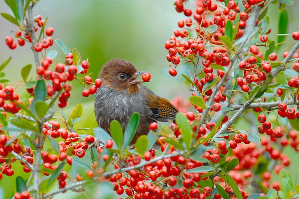 Ngày sinh Âm lịch kết thúc bằng số này, tài lộc hưng vượng, nửa cuối năm tiền tìm đến cửa-3