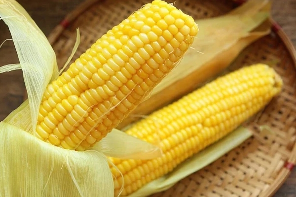 Ông cha ta dặn dò: 3 không trồng trước mộ, 4 không để trên giường, đó là những thứ gì?-4