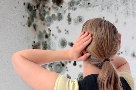 Nấm mốc sinh sôi, phát triển nhanh chóng mặt, làm cách này là có thể tiêu diệt và ngăn ngừa chúng quay trở lại