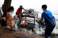 Người Thái ăn trong nhà hàng ngập nước