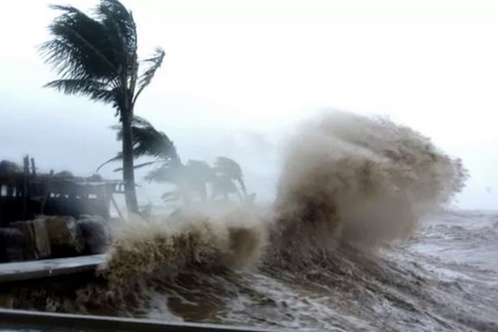 Tin bão khẩn cấp - Cơn bão số 5 và các chỉ đạo ứng phó