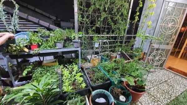 Cuộc sống hiện tại của Cẩm Ly sau khi bị bệnh suýt bỏ hát: An yên bên chồng con, vẫn trẻ trung và xinh đẹp-10