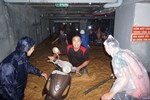 Clip, ảnh: Trắng đêm cứu người mắc kẹt trong biển nước ở Đà Nẵng-20