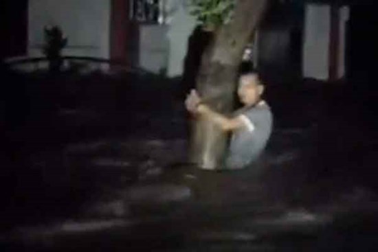 Người Đà Nẵng bám gốc cây để tránh bị lũ cuốn