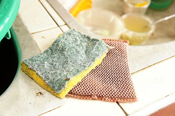 Đừng chủ quan, miếng bọt biển rửa bát nhà bạn cũng cần thay định kỳ-4