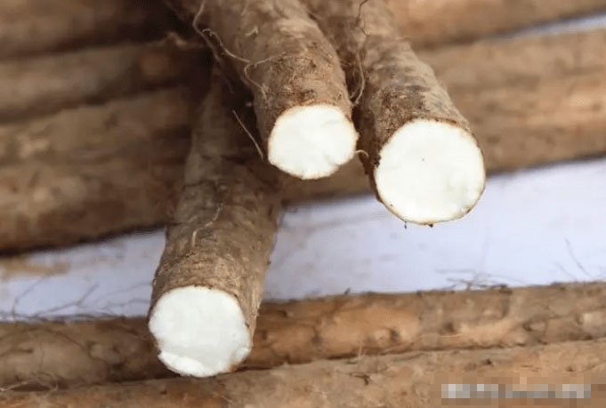 Học ngay công thức nấu những món ăn bồi bổ dạ dày, lại ngon quên sầu ngày cuối thu-7