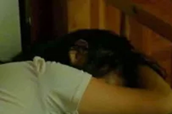 Có 5 thực phẩm làm tăng khả năng thụ thai, phụ nữ nên ăn nhiều để nhanh có tin vui-7