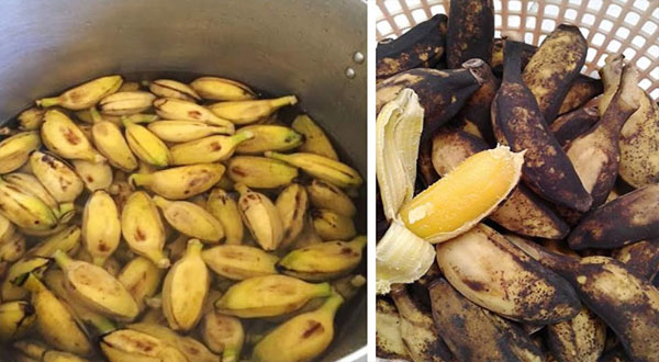 3 loại quả đem nấu chín còn tốt gấp nhiều lần ăn sống, giúp da sáng hồng, trị bệnh tốt khỏi tốn tiền thuốc-1