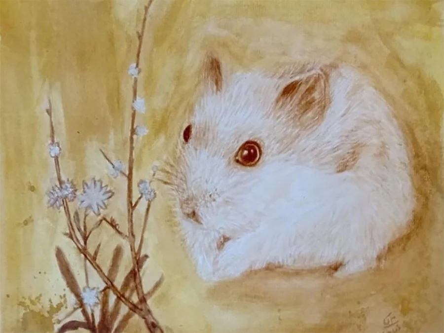 Chạy không thoát số trời: 3 con giáp vướng đại hạn năm Quý Mão khó khăn chồng chất, 2 tuổi đỏ như son tiền nhiều-1