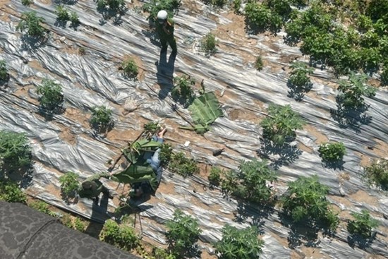 Hà Nội: Người phụ nữ bỏ lại xe máy, nhảy cầu Chương Dương