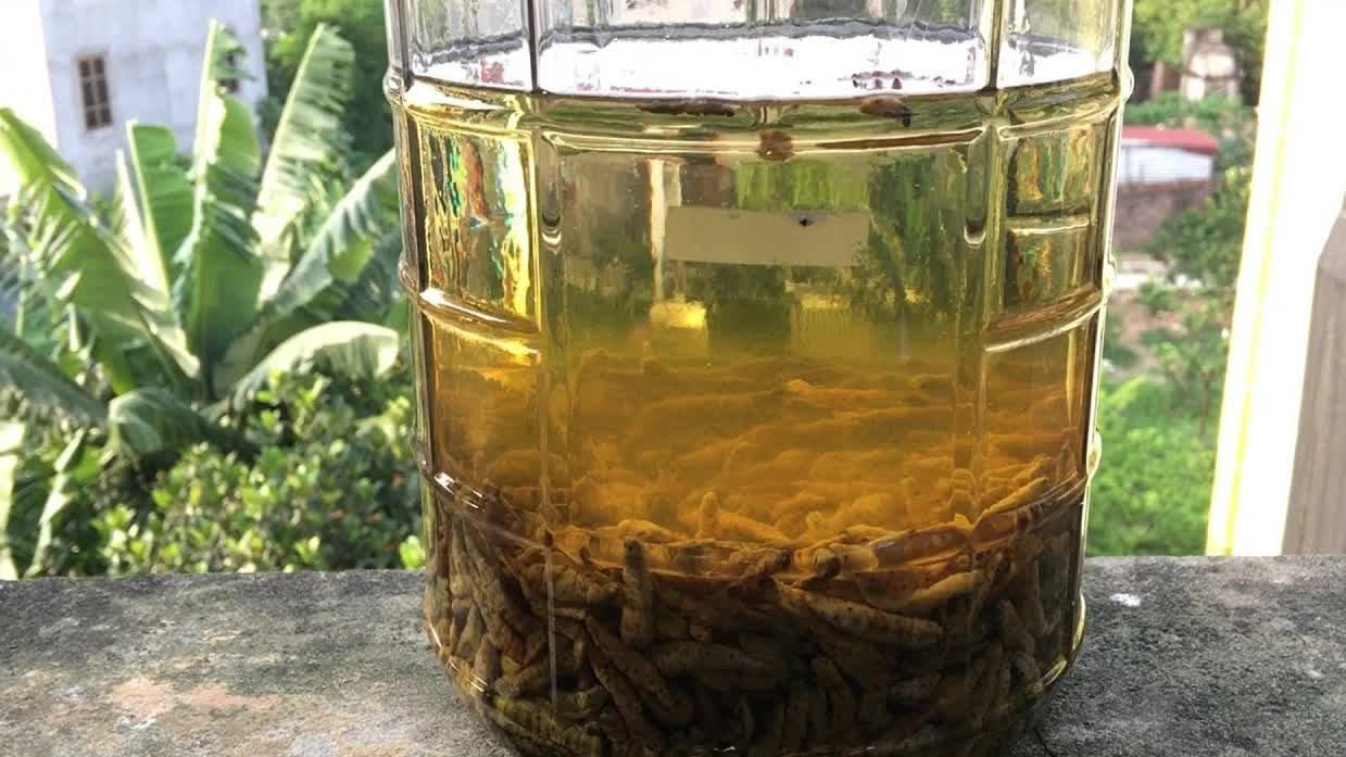 Đặc sản nổi tiếng ở Phú Thọ giá 150 nghìn/kg, ăn có vị bùi, béo ngậy và bổ dưỡng-8