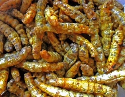 Đặc sản nổi tiếng ở Phú Thọ giá 150 nghìn/kg, ăn có vị bùi, béo ngậy và bổ dưỡng-5