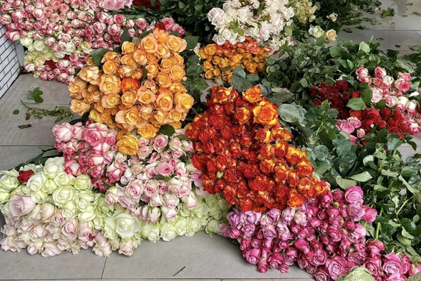 Giá hoa Đà Lạt tăng cao trước lễ 20/10-1