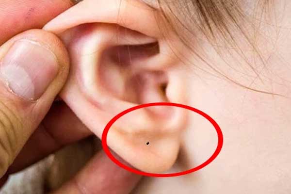 3 con giáp là con cưng của Thần Tài, sau 35 tuổi vượng phát, càng già càng giàu-4