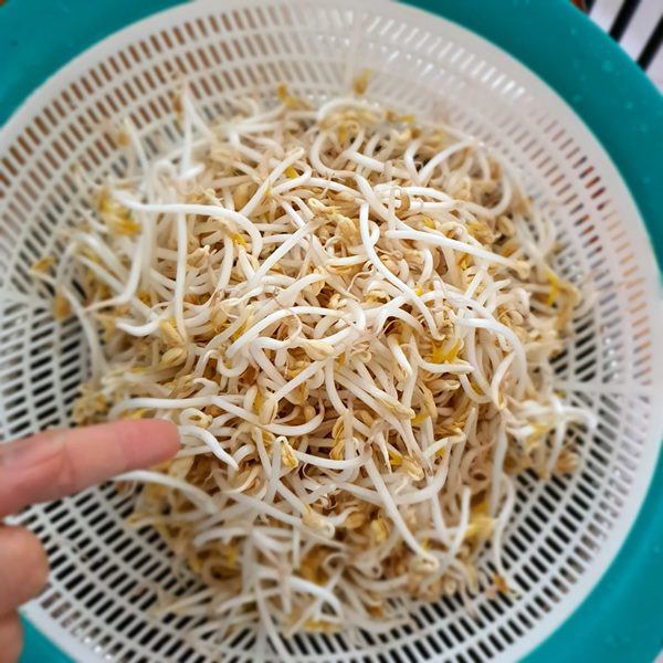 Ngắm vườn rau xanh mướt trong biệt thự triệu đô của ca sĩ Cẩm Ly-20