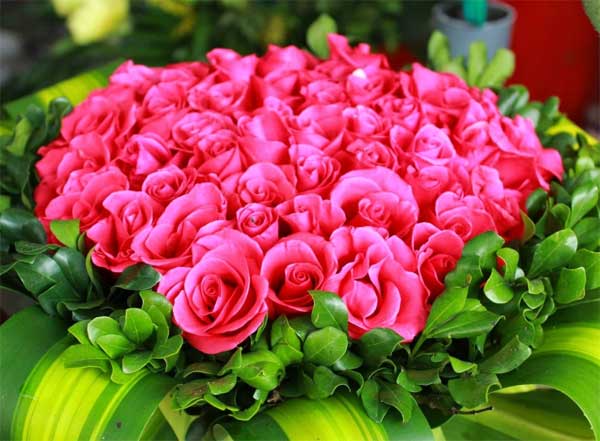 Lời chúc 20/10 cho bạn bè cực hay và ý nghĩa, đừng quên chia sẻ sự ngọt ngào này để gắn kết tình cảm-2