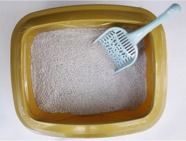 Top 15 mẹo hiệu quả nhất giúp khử mùi hôi giày dễ dàng mà không cần phải giặt-4