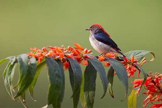 Ai sinh tháng Âm lịch này sống lý trí, biết kiếm tiền, phúc khí dài lâu