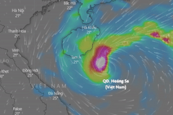 Dự báo tác động của bão Nesat trên biển và đất liền