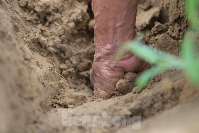 Kiếm bộn tiền nhờ đi săn dế mùa lũ-9