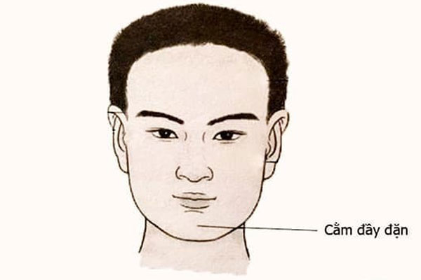 Có phúc có đức mặc sức mà ăn phụ nữ 3 chỗ càng dài, 2 nơi to béo hậu vận càng giàu có, an nhàn-6